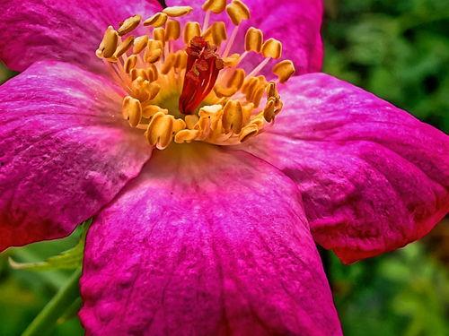 花蕊手机在线观看,在线观看,解锁科技魅力新篇章 第3张 花蕊手机在线观看,在线观看,解锁科技魅力新篇章 第3张